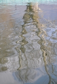 IIP Online Student Photography